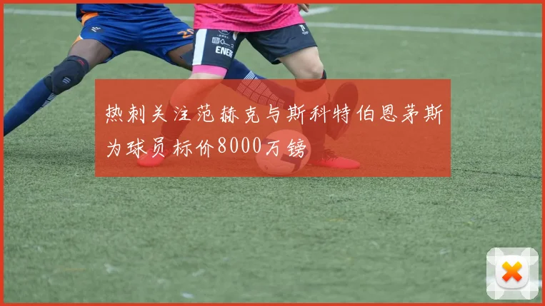 热刺关注范赫克与斯科特伯恩茅斯为球员标价8000万镑