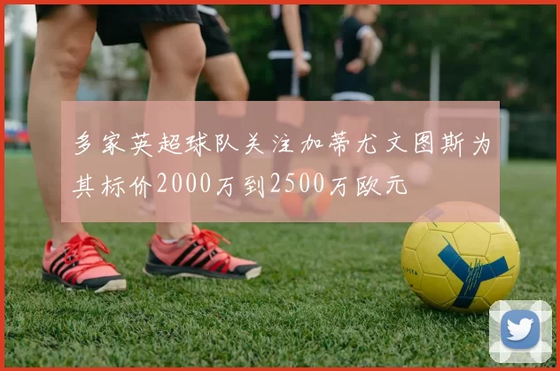 多家英超球队关注加蒂尤文图斯为其标价2000万到2500万欧元